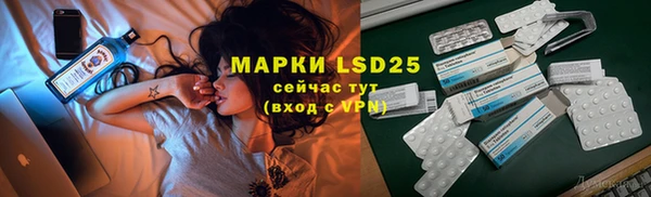 дурь Алексин