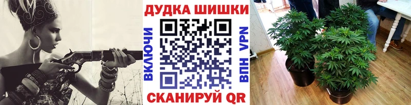 OMG tor  наркота  Лениногорск  Каннабис план 